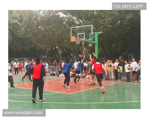 因篮球而聚的青春岁月与梦想追逐的热血故事